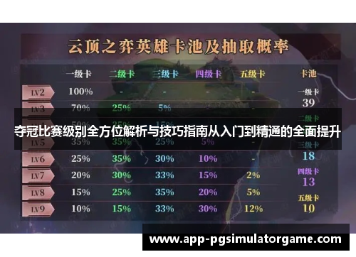 夺冠比赛级别全方位解析与技巧指南从入门到精通的全面提升