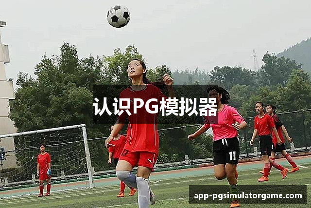 认识PG模拟器